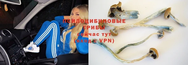 молекула духа Гусиноозёрск