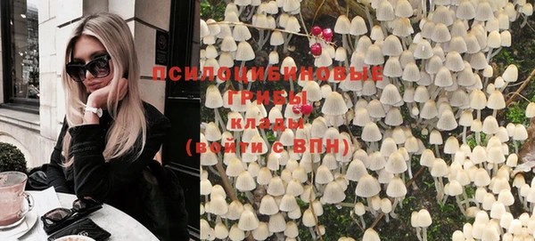 молекула духа Гусиноозёрск