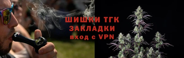 стафф Гусь-Хрустальный