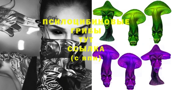 молекула духа Гусиноозёрск