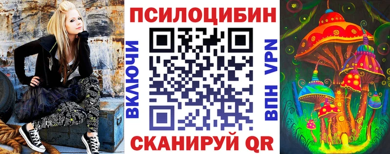 Купить где  Крымск  Псилоцибиновые грибы Psilocybine cubensis 